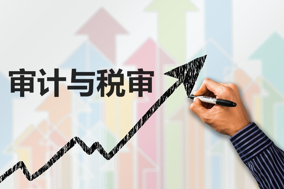 稅審報(bào)告和審計(jì)報(bào)告是什么？對企業(yè)有什么好處？兩者有什么區(qū)別