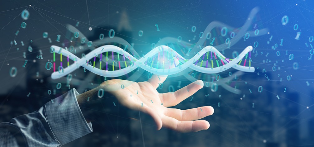 新加坡公司做賬審計的要求以及對報稅流程的解析