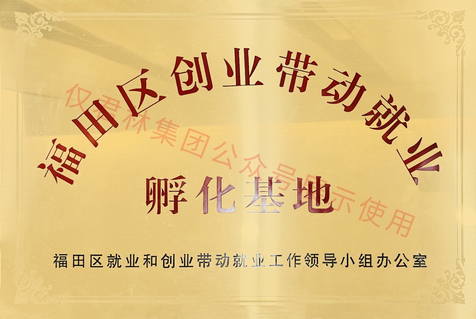 孵化基地 孵化基地