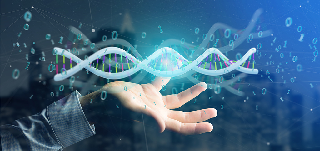 新加坡公司做賬審計的要求以及對報稅流程的解析